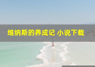 维纳斯的养成记 小说下载